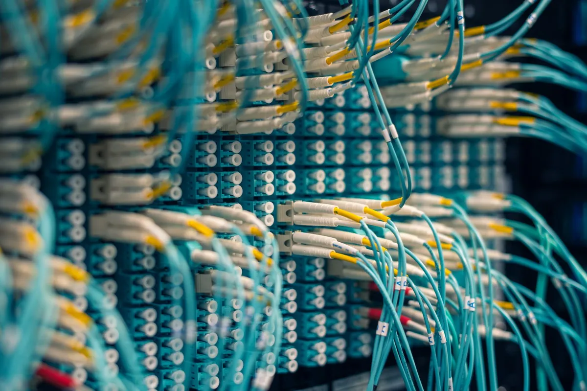 Rows of network cables in a data center, where schema and structured data do the heavy lifting